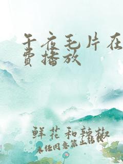 午夜毛片在线免费播放