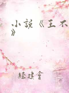 小说《王不见王》