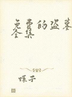 免费的盗墓笔记全集