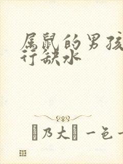 属鼠的男孩名五行缺水