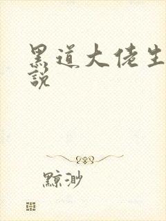 黑道大佬生子小说