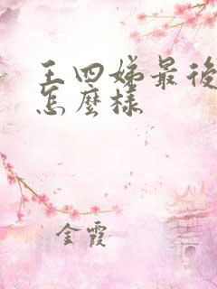 王四娣最后结局怎么样