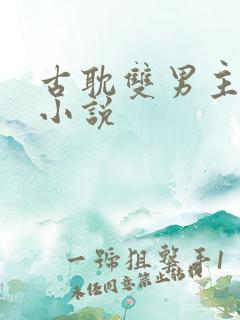 古耽双男主生子小说