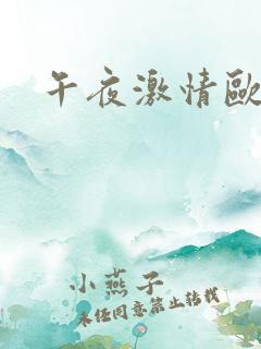 午夜激情欧美片