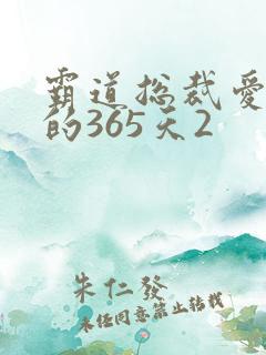 霸道总裁爱上我的365天2