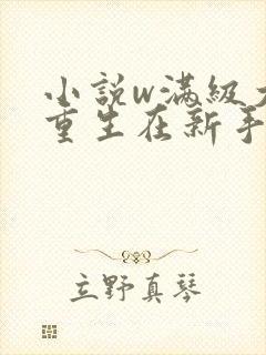 小说w满级大佬重生在新手村?》