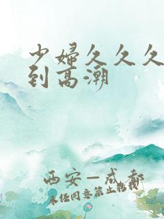 少妇久久久久久到高潮