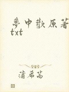 梦中欢原著小说txt