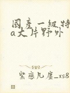 国产一级特黄aa大片野外