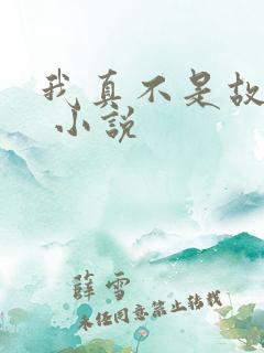 我真不是故意的 小说