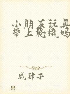 小朋友玩具可以带上飞机吗