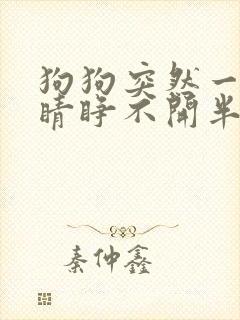 狗狗突然一只眼睛睁不开半眯着