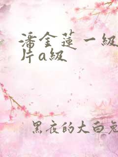 潘金莲一级风流片a级