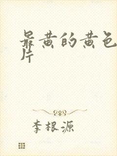 最黄的黄色一级片