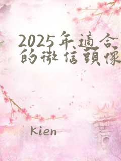 2025年适合的微信头像