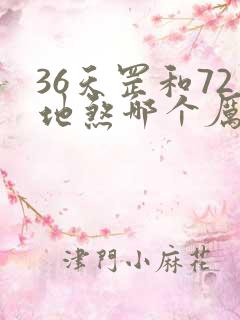 36天罡和72地煞哪个厉害
