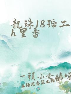 龙珠18号工口h里番