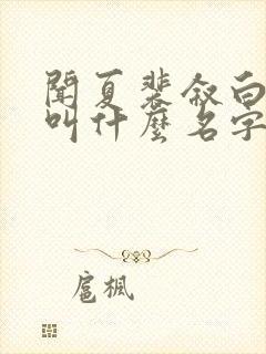 闻夏裴叙白小说叫什么名字