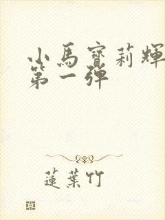 小马宝莉辉月包第一弹