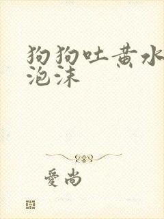 狗狗吐黄水,带泡沫