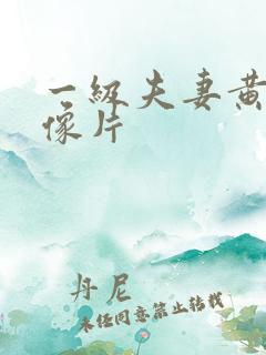 一级夫妻黄色录像片