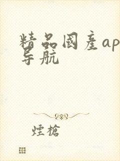 精品国产app导航