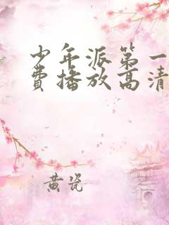 少年派第一季免费播放高清