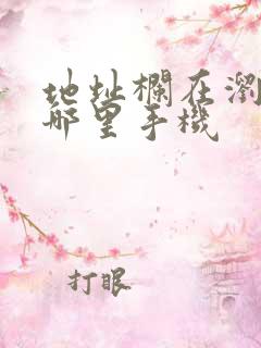 地址栏在浏览器哪里手机