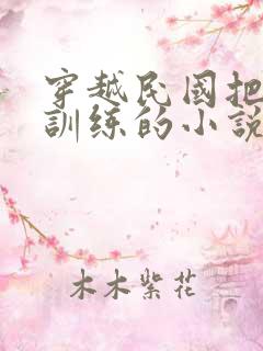 穿越民国把土匪训练的小说