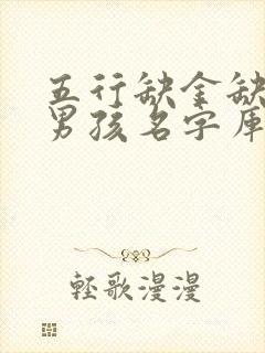 五行缺金缺木的男孩名字库