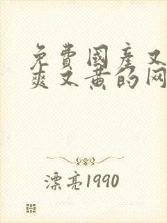 免费国产又色又爽又黄的网站