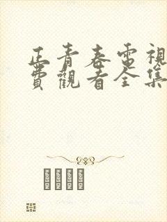 正青春电视剧免费观看全集西瓜