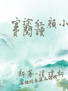 官途红颜小说免费阅读