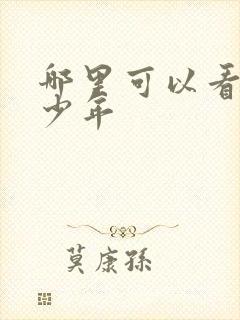 哪里可以看鸣龙少年