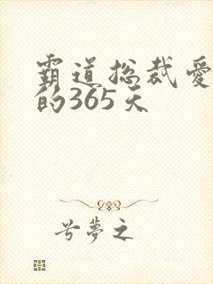 霸道总裁爱上我的365天