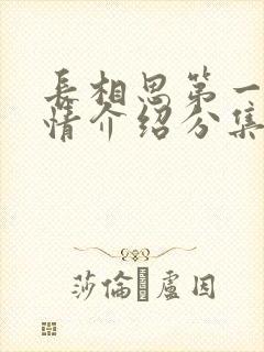 长相思第一季剧情介绍分集介绍