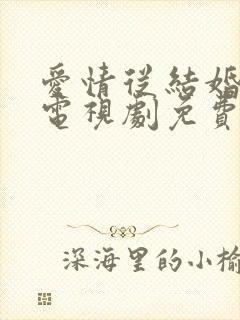 爱情从结婚开始电视剧免费观看全集