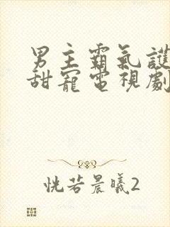 男主霸气护妻的甜宠电视剧