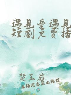 遇见爱遇见幸福短剧免费播放全集