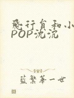 飞行员和小空乘POP沈沉