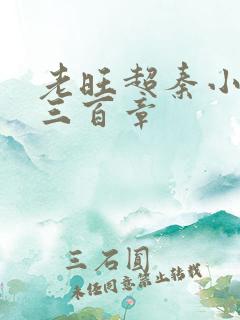 老旺超秦小雨第三百章