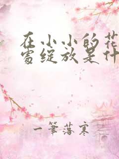 在小小的花蕾深处绽放是什么歌