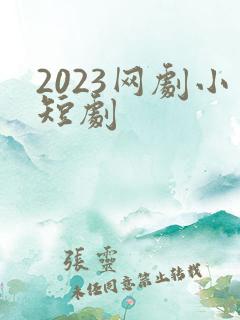 2023网剧小短剧