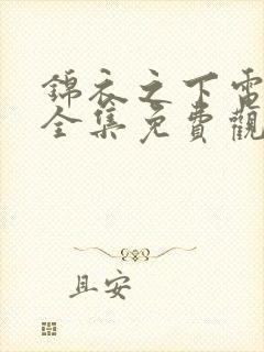 锦衣之下电视剧全集免费观看高清