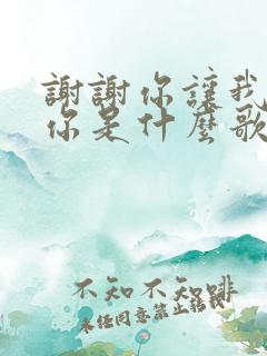 谢谢你让我遇见你是什么歌的歌词