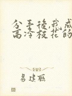 分手后,我成了高冷校花的后爹