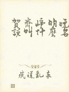 贺齐峥明晚晴小说叫什么名字