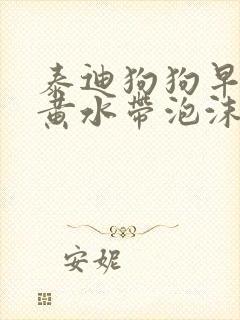 泰迪狗狗早上吐黄水带泡沫