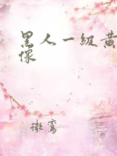 黑人一级黄色录像