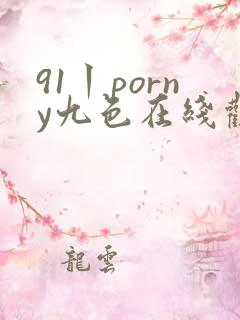 91丨porny九色在线观看